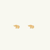 Ellie Studs