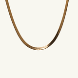 Eva Chain
