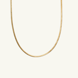 Anguis Chain
