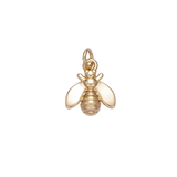 Product image with transparent background