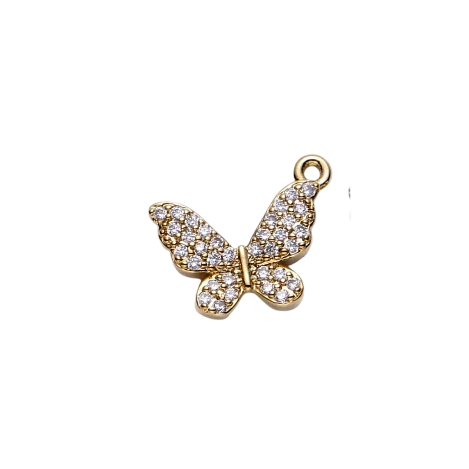 Product image with transparent background