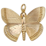 Product image with transparent background
