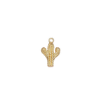 Product image with transparent background