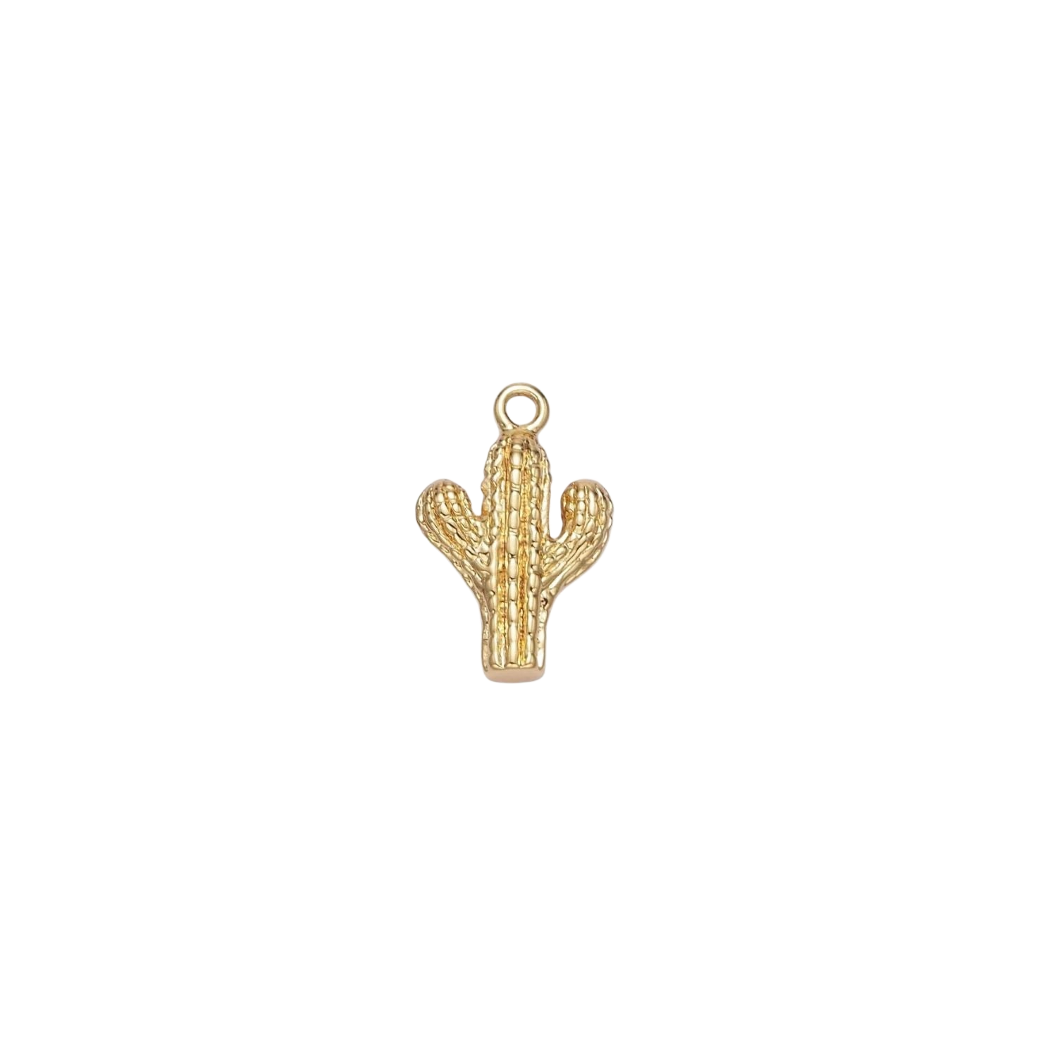 Product image with transparent background