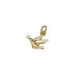 Product image with transparent background