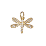 Product image with transparent background