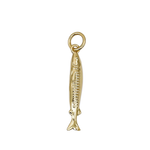 Product image with transparent background