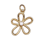 Product image with transparent background