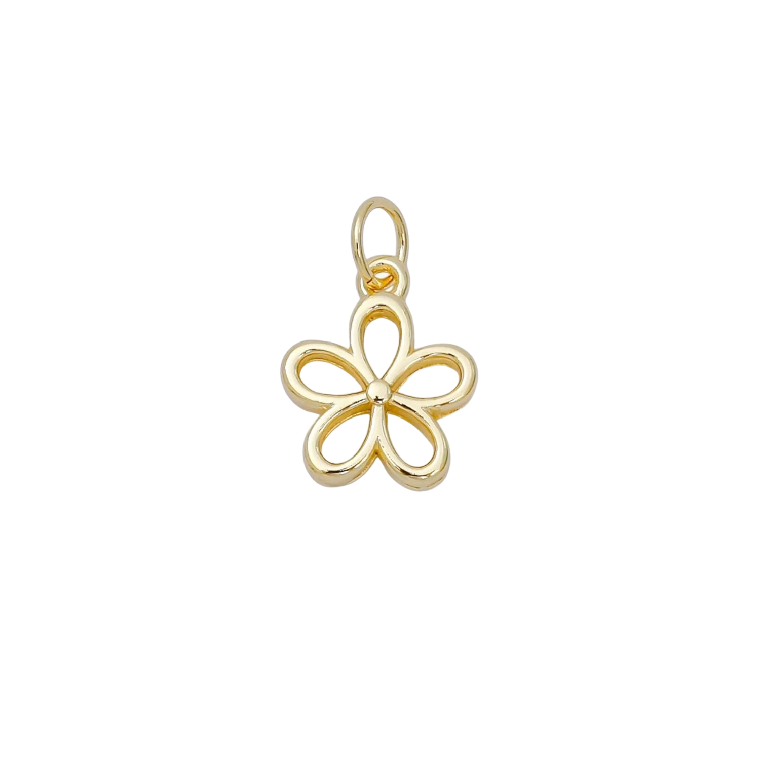 Product image with transparent background