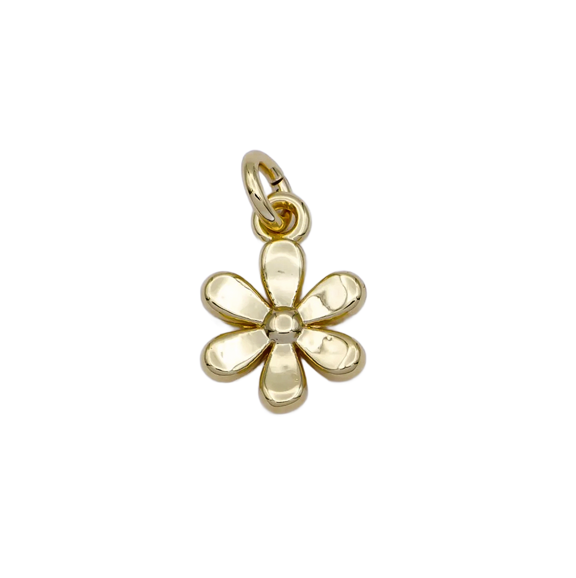 Product image with transparent background