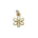 Product image with transparent background