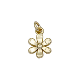 Product image with transparent background