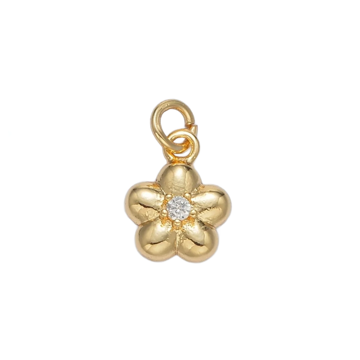 Product image with transparent background