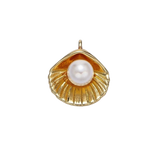 Product image with transparent background