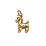 Product image with transparent background