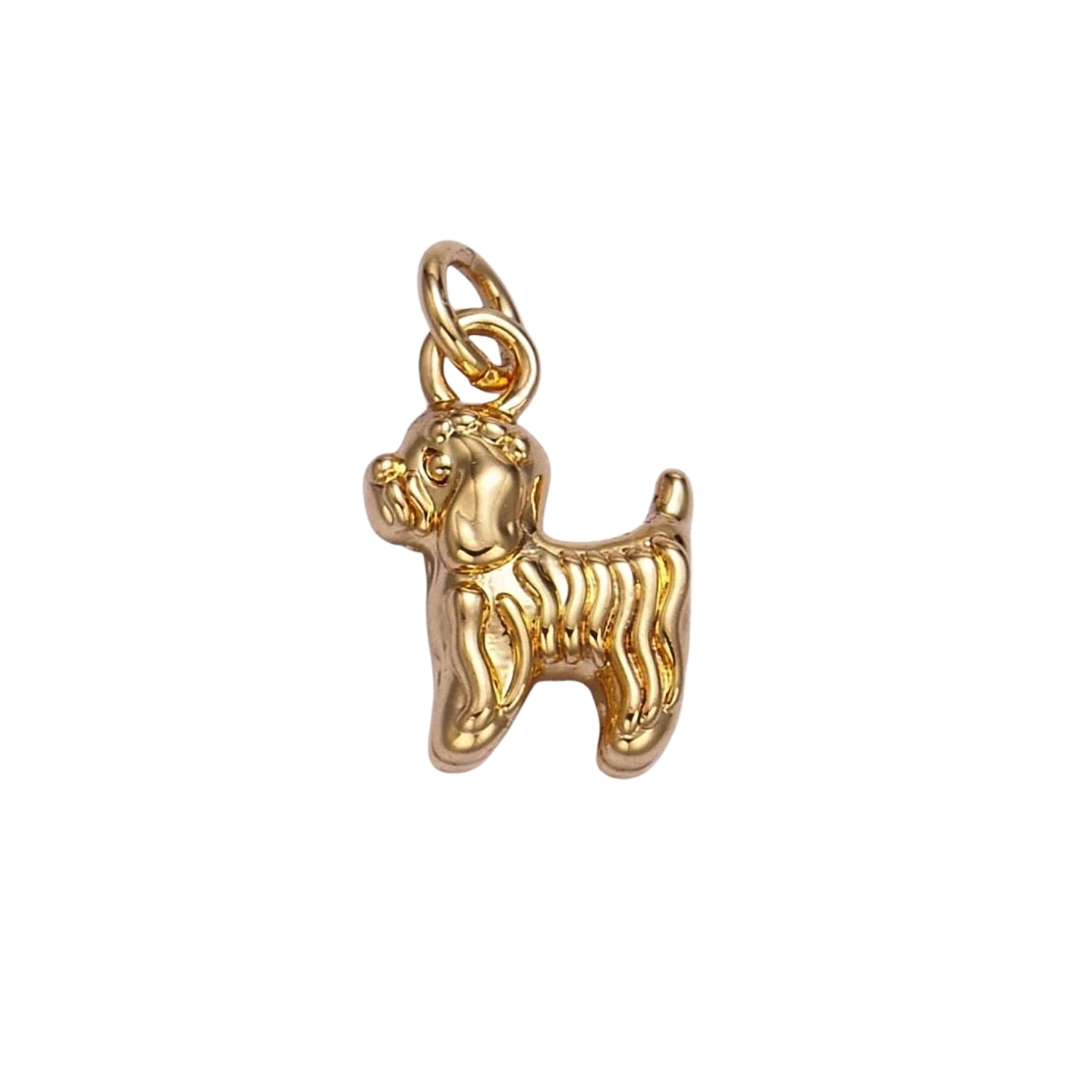 Product image with transparent background