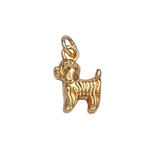 Product image with transparent background