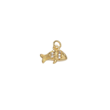 Product image with transparent background