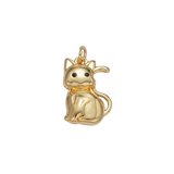 Product image with transparent background