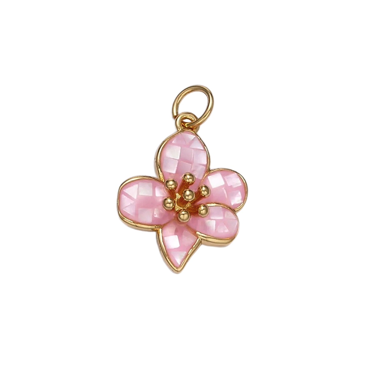 Product image with transparent background