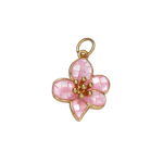 Product image with transparent background