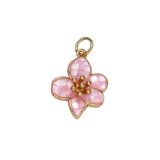 Product image with transparent background