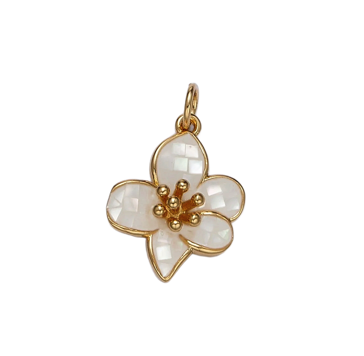 Product image with transparent background