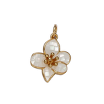 Product image with transparent background