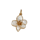 Product image with transparent background