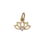 Product image with transparent background
