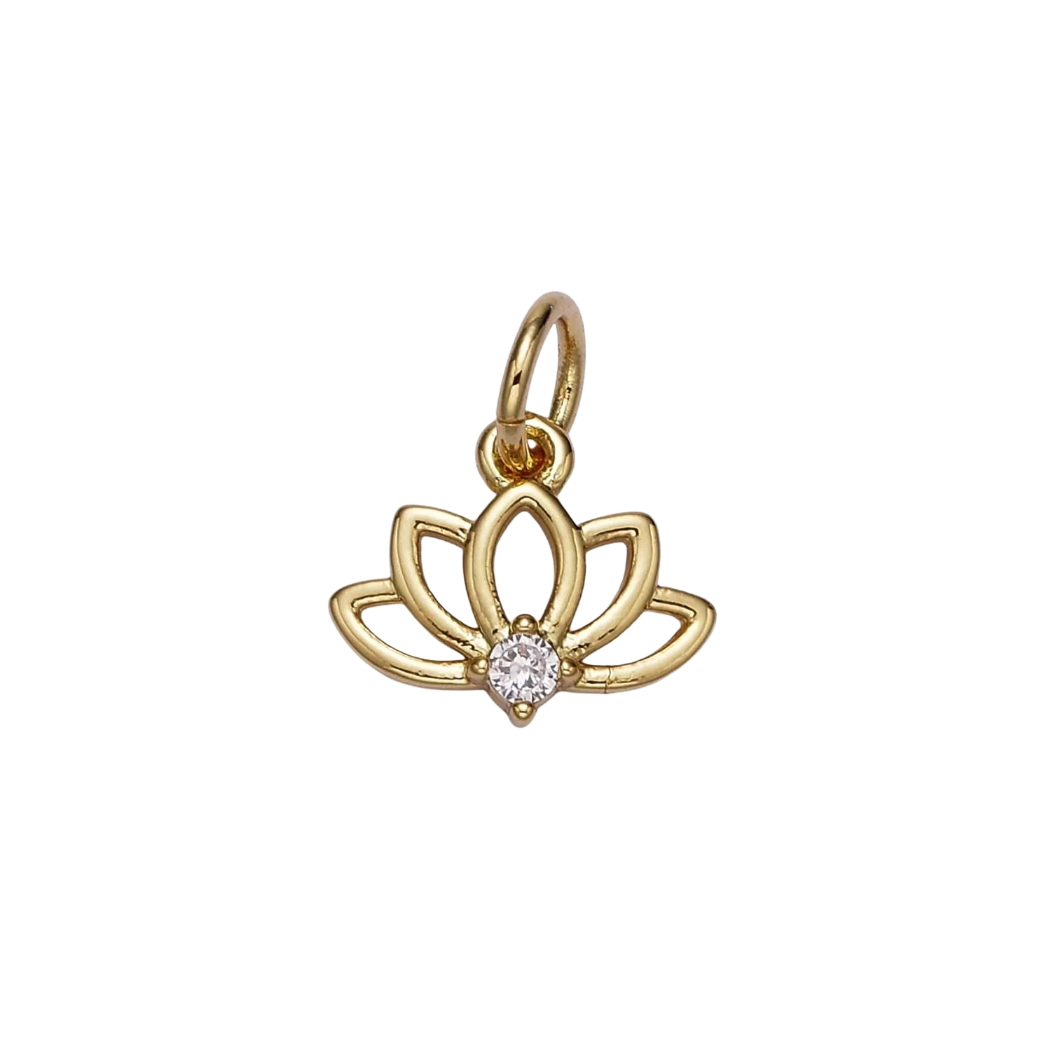 Product image with transparent background
