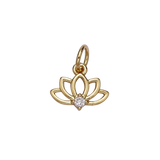 Product image with transparent background