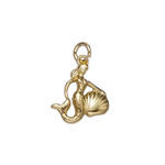 Product image with transparent background