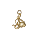 Product image with transparent background