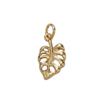 Product image with transparent background