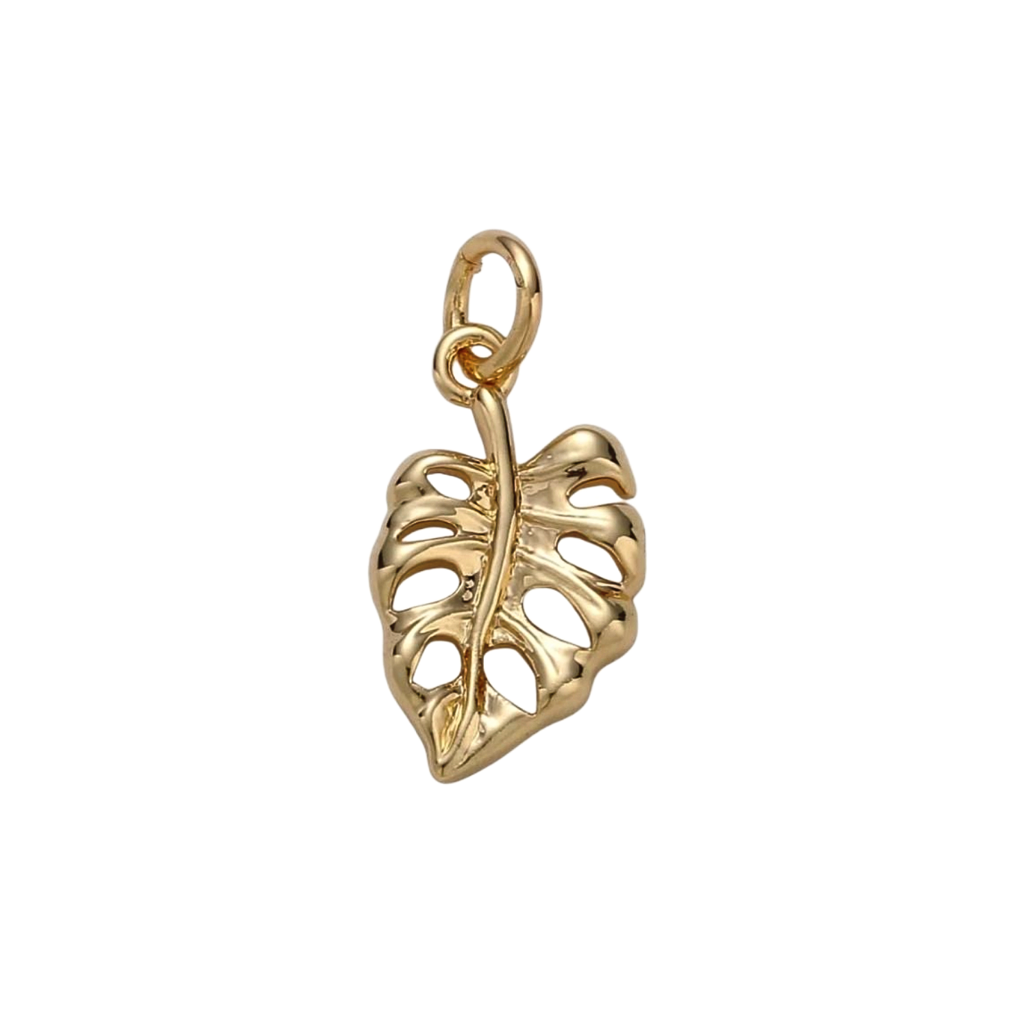 Product image with transparent background