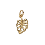 Product image with transparent background