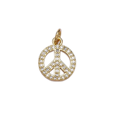 Product image with transparent background