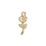 Product image with transparent background