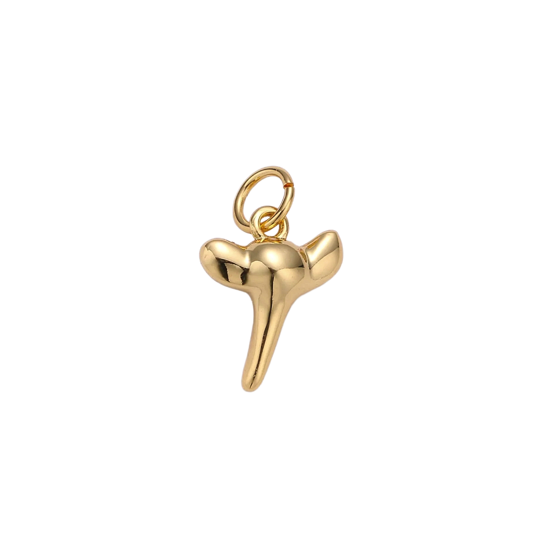 Product image with transparent background