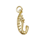 Product image with transparent background
