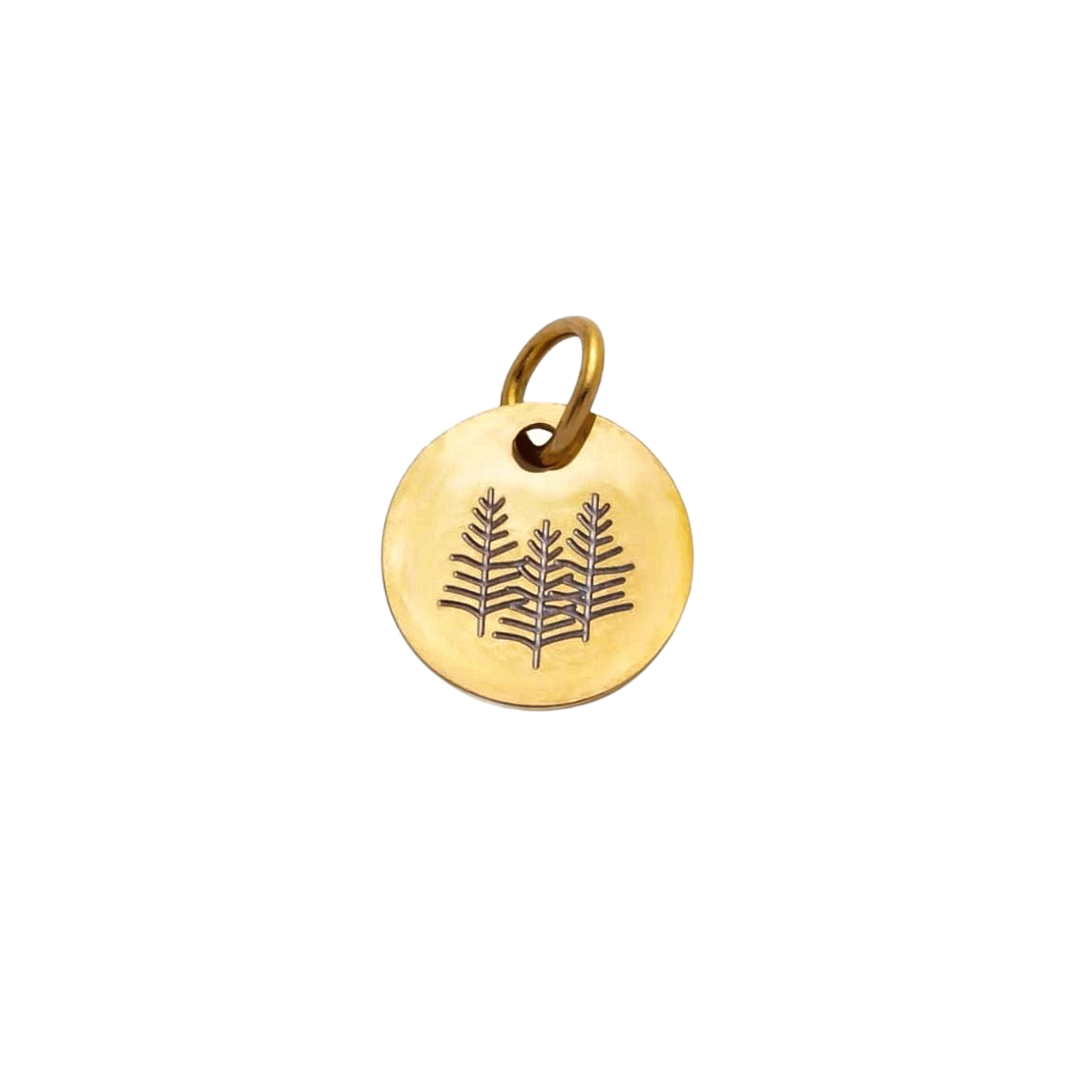 Product image with transparent background