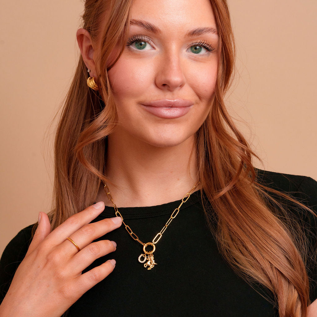 Model wearing the Indie gold filled carabiner necklace by Tikkhu