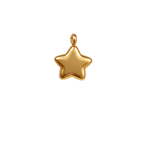 Small Star charm, waterproof stainless steel