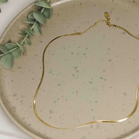 Anguis Chain